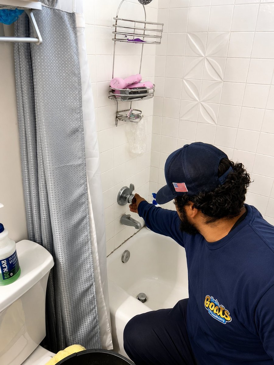 Toilet Installation Los Angeles | Toto, American Standard, Bidet | Drain Goats